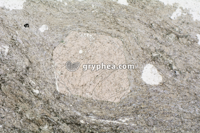 Schiste à grenats et glaucophane LPNA x3,5 - gryphea.com